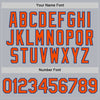 Custom Gray Orange-Royal Line Authentic Baseball Jersey