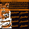 Custom Black Bay Orange 3D Pattern Design Tiger Performance T-Shirt