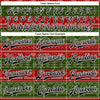 Custom Red Black-Green Christmas 3D Bomber Full-Snap Varsity Letterman Jacket