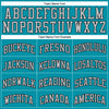 Custom Teal Gray-Black Authentic Throwback Basketball Jersey